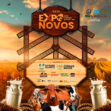 Publicidade