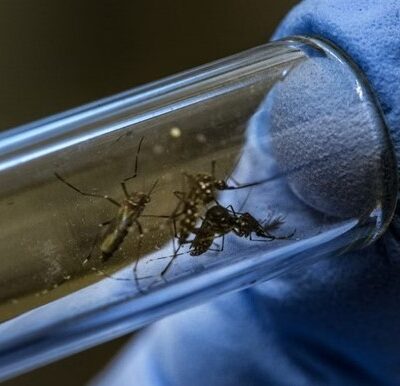 DENGUE: Brasil ultrapassa 5 milhões de casos e bate novo recorde