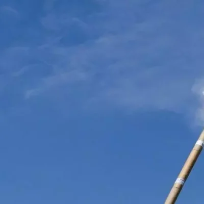 Vem aí a caminhada “juntos contra o uso de fogos de de artifício”