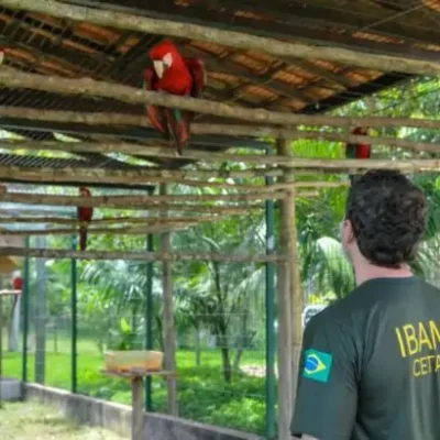 Servidores do Ibama no RN e mais 14 estados decidem entrar em greve