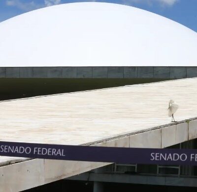 Comissão do Senado aprova tipificar crime de apologia à ditadura