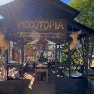 Artista plástico currais-novense inaugura a Mocotopia em Sonoma nesta quinta-feira