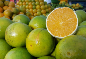 Preço da laranja aumenta 13,6% e potiguares reduzem consumo