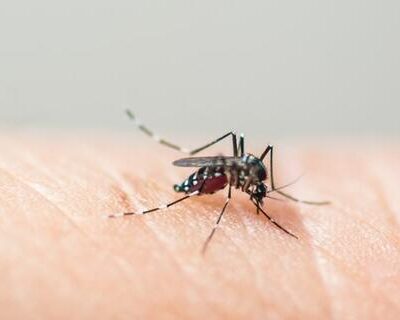 Dengue: Saúde vai investir R$ 1,5 bi no controle da doença