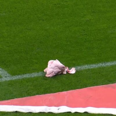 Cabeça de porco é arremessada em campo durante Corinthians x Palmeiras