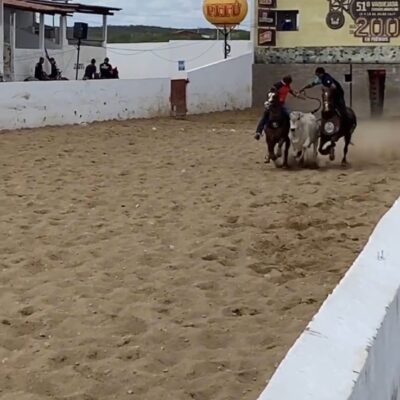 Vaquejada da Imaculada segue com a disputa final na tarde desta segunda-feira