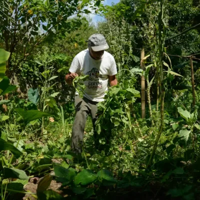 Edital seleciona 36 projetos para fortalecer agricultura familiar