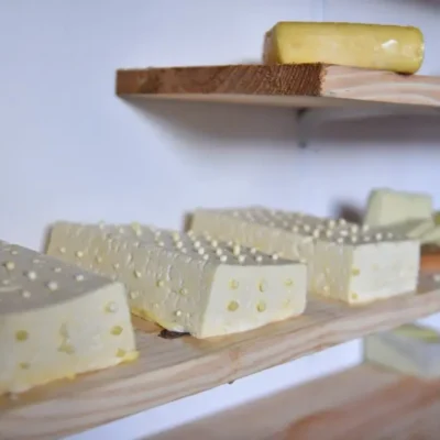 RN realiza I Festival do Queijo da Agricultura Familiar Potiguar