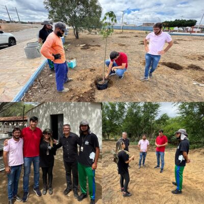 Projeto idealizado na gestão do ex-prefeito Odon Jr. Marca início da arborização urbana e recuperação da caatinga em Currais Novos