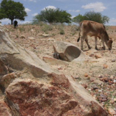 Seca deve agravar entre setembro e outubro no RN, alerta meteorologista