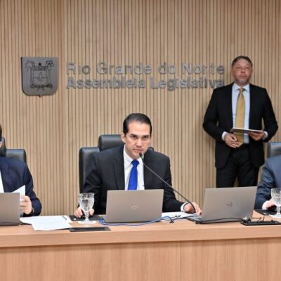 CCJ aprova projetos em defesa de animais, direitos humanos e patrimônio cultural