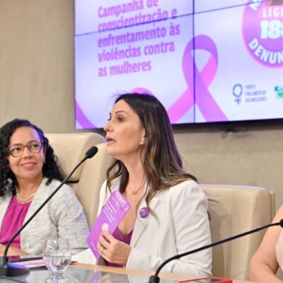 Na ALRN, Frente Parlamentar das Mulheres debate enfrentamento à violência contra mulheres