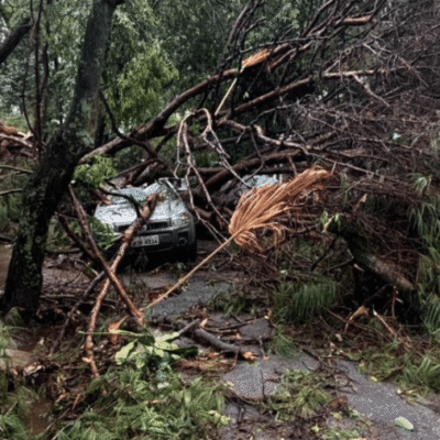 São Paulo ainda enfrenta queda de energia após temporal e Cotia cancela aulas