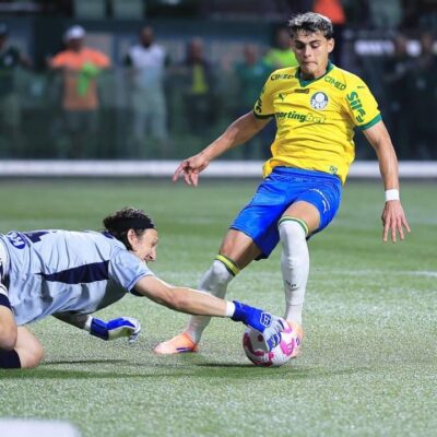 Gol anulado do Palmeiras contra Cruzeiro respeitou regra, afirma especialista