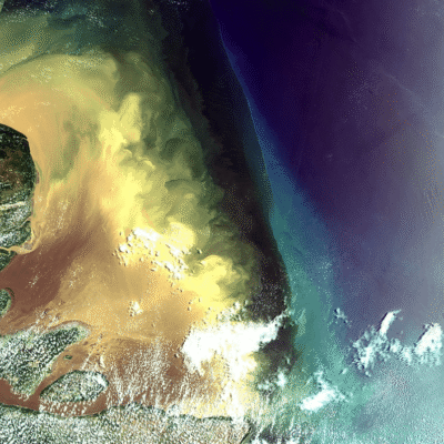 Ibama autoriza Petrobras a perfurar poço na Foz do Amazonas com compensação ambiental