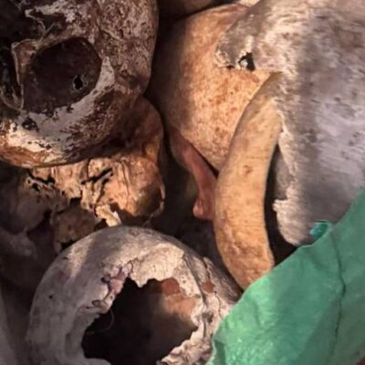 Mais de 12 crânios e ossos humanos são encontrados em apartamento em São Paulo