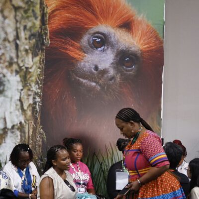 COP30 em Belém concentra discussões sobre clima, adaptação e financiamento