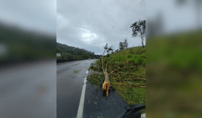 Ciclone extratropical causa estragos e desalojados em São Paulo