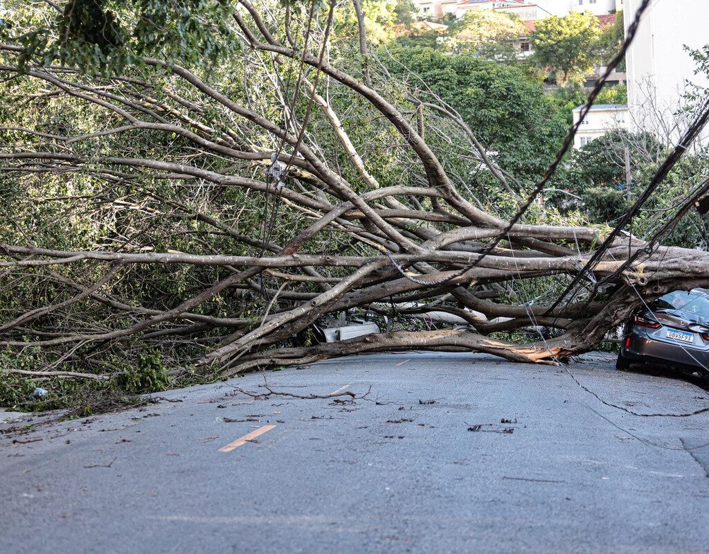 Aneel e Ministério reforçam equipes para resolver apagão em São Paulo
