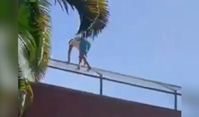 Jovem morre após invadir recinto de leoa em zoológico de João Pessoa