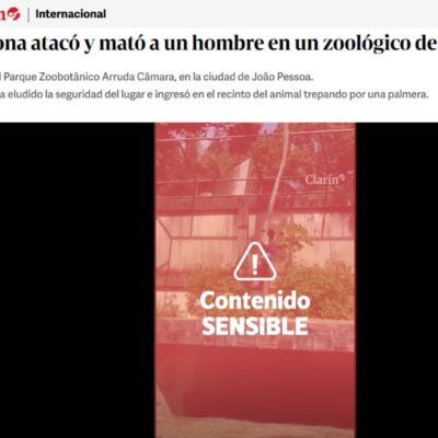 Morte de homem por leoa em zoológico de João Pessoa repercute no exterior
