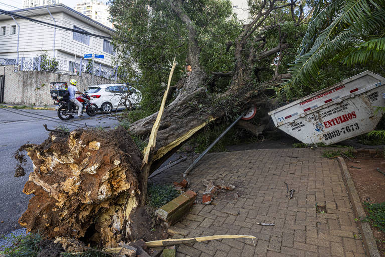 Vendaval de 10 de dezembro é o terceiro mais forte em São Paulo desde 2006