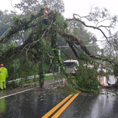 Chuvas intensas no litoral paulista causam apagões e interditam estradas