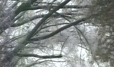 Tempestade de neve causa recorde de cancelamentos de voos nos EUA