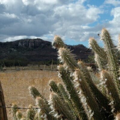 Governo federal reconhece emergência por seca em duas cidades do RN