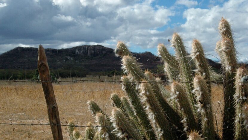 Governo federal reconhece emergência por seca em duas cidades do RN