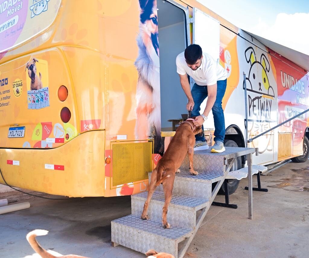 Prefeitura de Currais Novos amplia programa de castração para animais em situação de rua