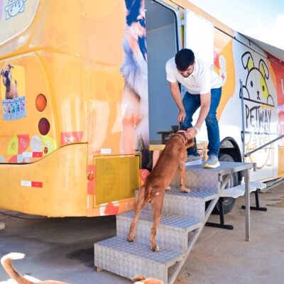 Prefeitura de Currais Novos amplia programa de castração para animais em situação de rua