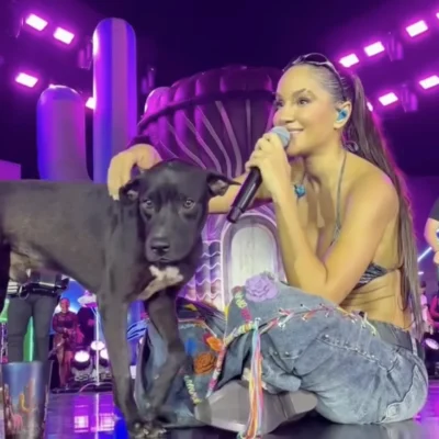Cachorro sobe ao palco em show e é adotado por Michele Andrade