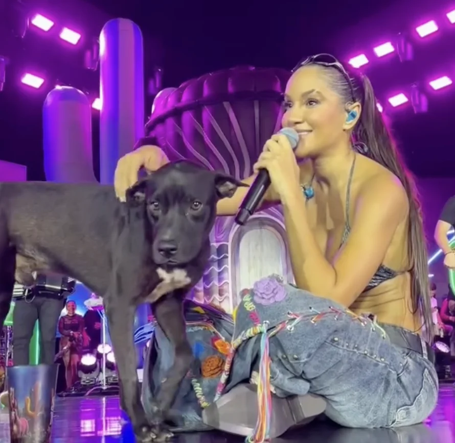 Cachorro sobe ao palco em show e é adotado por Michele Andrade