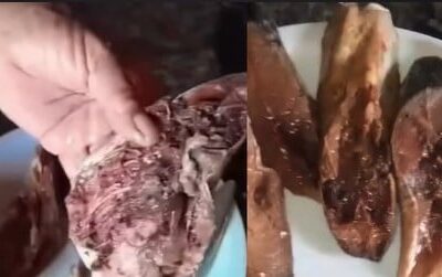 Prefeitura de Afonso Bezerra tomará providências após entrega de peixe estragado