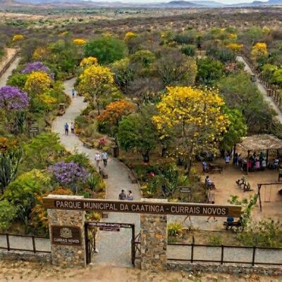 Parque de Exposições poderá dar lugar a moderno Parque Urbano Bioclimático da Caatinga