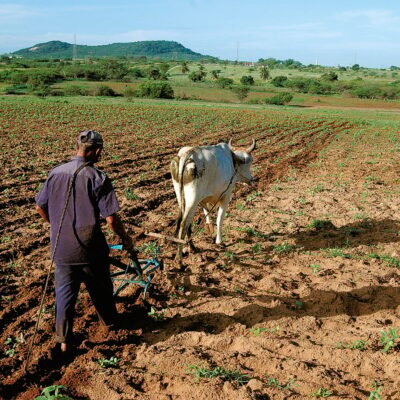 Inverno mais quente no RN pode elevar demanda hídrica e pressionar agricultura