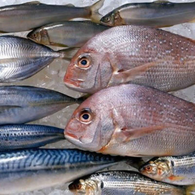 Casos de intoxicação por peixe contaminado crescem 60% no Rio Grande do Norte